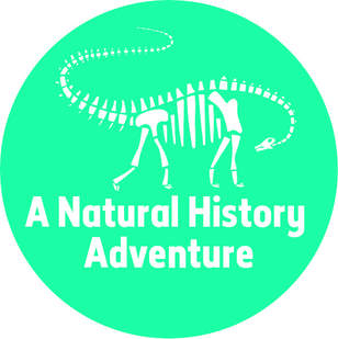 a natural history adventure in Dorset 